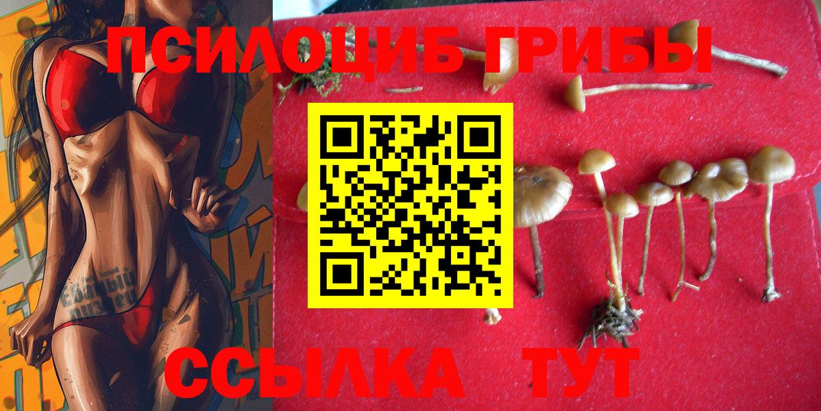 Назрань  Псилоцибиновые грибы мицелий  Вход с VPN 