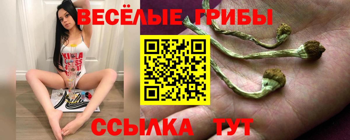 Галлюциногенные грибы Psilocybine cubensis Назрань